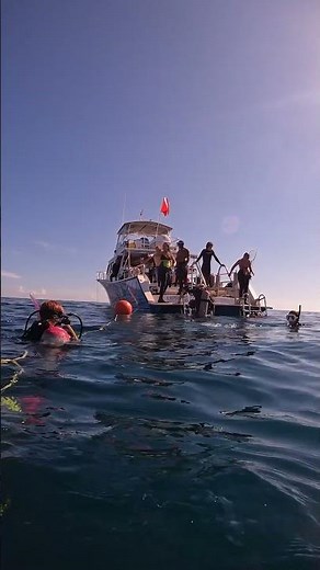 Journey to Becoming Scuba Certified