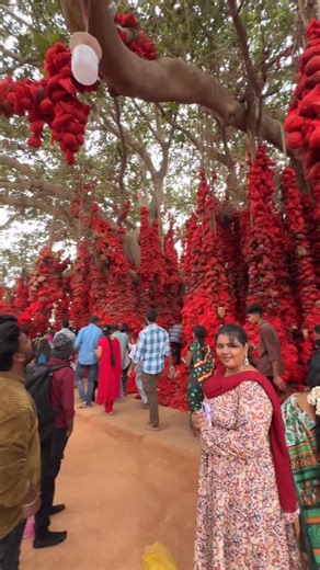 Arul moli | 🙏🏼இப்படி ஒரு அதிசயம் நடக்குதா🥰 Amma Shakthi Peeta Kambalipura. Bangalore district. Hosakote Talk, sulibele hobali, • Kambalipura-kempapura... | Instagram