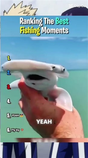 Ranking Best Water Jump & Fishing Moments #Funny #mhacommunity