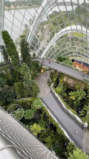 This high inside the #CloudForest in #Singapore #GardensByTheBay #travel #Asia