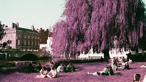 Bioinformatics Booster Programme