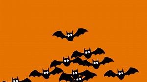 Bats, Flying, Halloween. Free Stock Video