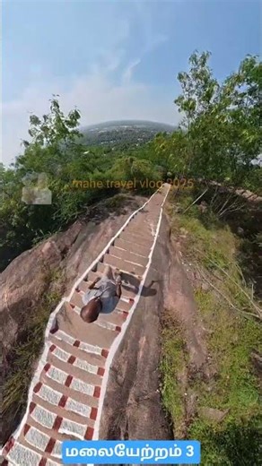 #travelvlog #shortsvideo #viral #reels #trending #trecking #tree #mountains #nature #naturelovers