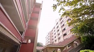 Japanese Romance Movie