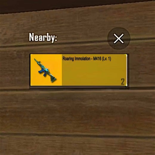 Roaring Immolation - M416 Level 1 Gameplay