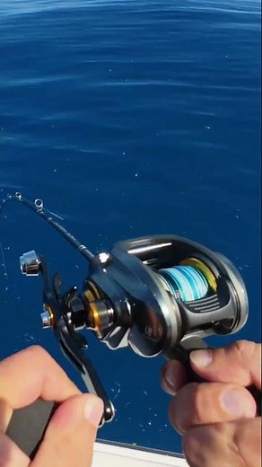 Lane Snapper vs Piscifun AlinoX 400 : Instant Hookup! #fishing