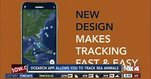 Ocearch app allows you to track sharks and other sea animals