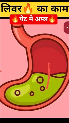 acid in stomach helps in digestive system | function of liver | liver ka kam | Class 10 12 biology