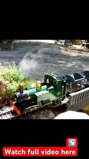 Remote Control Steam @kartwheelkarl #gscale #modelrailroad #steamtrains #modelrailway #modeltrains