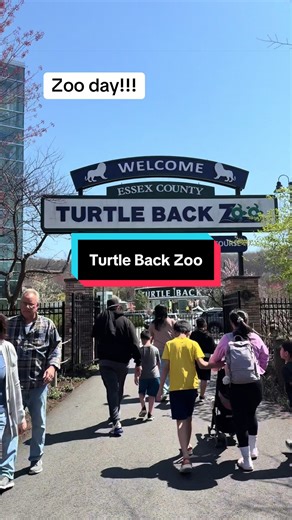 We love the turtle back zoo! #momsoftiktok #goingtothezoo #njthingstodo #newjerseymom #toddlersoftiktok
