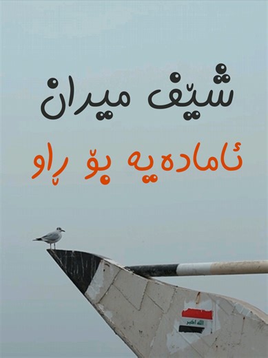 شێف میران یەکی نوێ بۆ ڕاو - زانیارییەکان