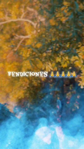 FV Tree Service Inc on Reels