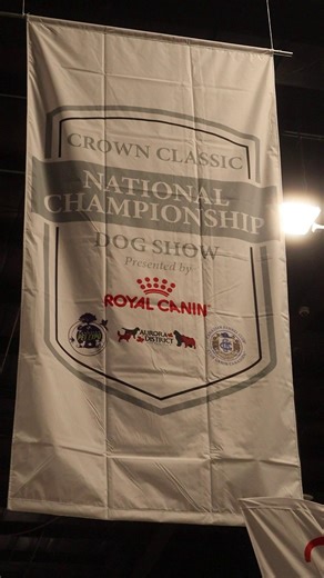 📢 Welcome to the Royal Canin Crown Classic National Championship Dog Show weekend. We’re kicking things off here at the International Centre in Mississauga with setup, arrivals, and plenty of excitement in the air. Stay tuned for full coverage all weekend long. 🐶✨ 📢 Bienvenue à la fin de semaine du Championnat national Royal Canin Crown Classic. Nous entamons les festivités ici, à l'International Centre de Mississauga, avec les préparatifs, les arrivées et beaucoup d'enthousiasme dans l'air. 
