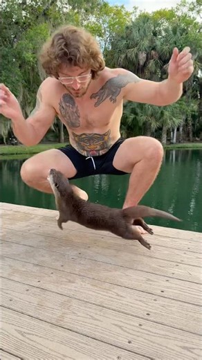 Otter catches FISH! #short #shorts #fyp #pets #otter #animals