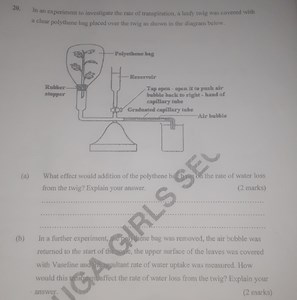 In an experiment to investigate the rate of transpiration, a le... | Filo