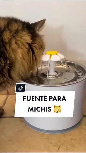Información importante: Un michi con fuentecita de agua es un michi feliz 🐱⛲ #ShopeeMX #ShopeeFinds #Michi #Gato #Gatos #GatosTikTok #GatosDeTikTok