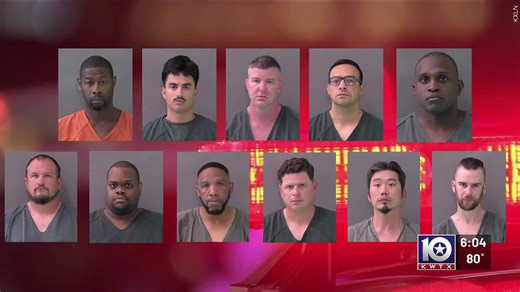 Texas DPS: 11 arrested in Bell County sting targeting online sex solicitation of minors