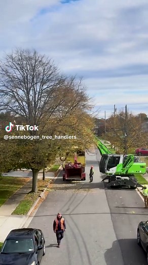 Effortless Tree Work with Sennebogen Equipment