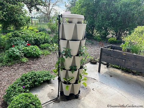 GreenStalk Vertical Planter + Automatic Watering System: Everyone Can Grow a Garden (2023) #20