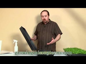 Growing Microgreens - Hydroponic Method Part 2 - How To Grow Micro Greens