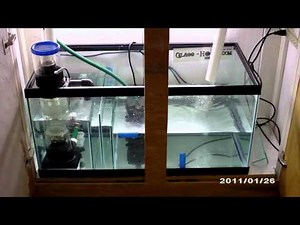 Display OverFlow Test