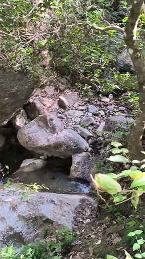 SUSCRIBETE, deja tu comentario, dale me 👍