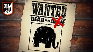 24K views · 284 reactions | Today on the Matt Walsh Show, the Left...