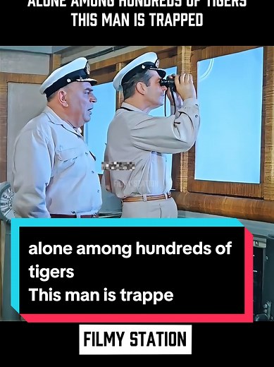 alone among hundreds of tigers This man is trapped #MovieExplained #MovieTok #FilmTok #Storytellin #usa