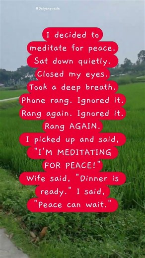 The Fastest Meditation Ever | #funny #comedy #meditation #peace #dinner #fyp #foryou