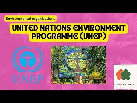 UNEP (United Nations Environment programme ) | UGC NET, UPSC, PCS, PCBs
