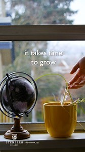 If you’re thinking about a new career and want to move to Canada, Stenberg College has the program for you: Business: Business Diploma, Marketing Specialization Education: Early Childhood Education Nursing: Health Care Assistant, Post Graduate Diploma in Canadian Nursing Click the following link to learn more about the programs offered at Stenberg College: https://international.stenbergcollege.com/ | Stenberg College & Canadian College