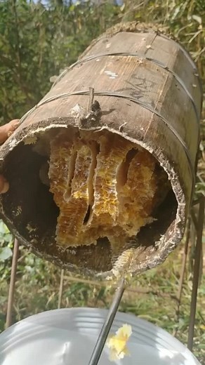 3.3K views · 189 reactions | Follow @satisfying_y for more . Credit @ . . . . . . . #fluffyslime #softslime #glitterslime #butterslime #creamcheeseslime #slime #slimerepost #loveslime #viralslime #clickyslime #thickslime #greatslime #amazingslime #redslime #purpleslime #blueslime #orangeslime #yellowslime #greenslime #pinkslime #softbutterslime #christmasslime #satisfying | Satisf | Facebook