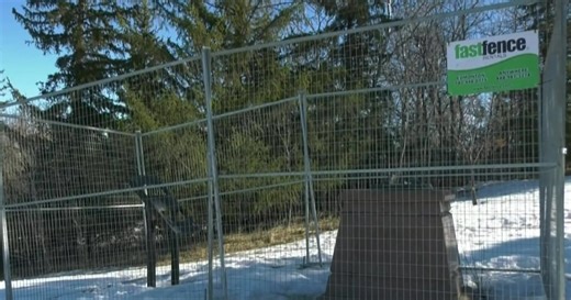 Emily Murphy statue stolen from Edmonton park