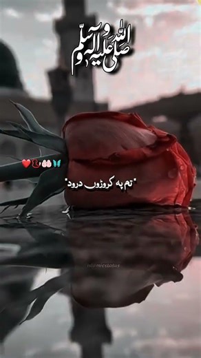 #pleasesubscribe #plesse my new account 🥰