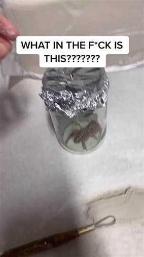 Understanding Chimera Ants in Hunter x Hunter - Explained