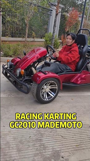 200CC Racing go kart with GY6 engine,Max speed 60KM/h, Load capacity 200KGS #gokart #karting #racing