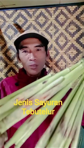 Jenis Tebu Telur ini Paling Enak Disayur Bening👍