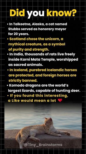 World’s Most Surprising Animal Facts in History