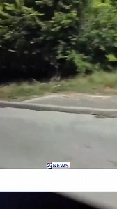 71 people were arrested during a weeklong operation in Montgomery County. It’s part of what the Conroe Police Chief says will be a more proactive approach to going after wanted people. KPRC2 rode along for part of the operation: https://www.click2houston.com/news/local/2025/08/19/we-are-seeking-you-out-dozens-arrested-in-montgomery-county-warrant-crackdown/ | KPRC2 Bryce Newberry