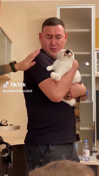 Protective Cat Shields Owner from Friendly 'Attack' 🐱🦸‍♂️❤️ #CatHeroics #OwnerProtection #FelineDefender #HeartwarmingMoment #PetLove #FYP
