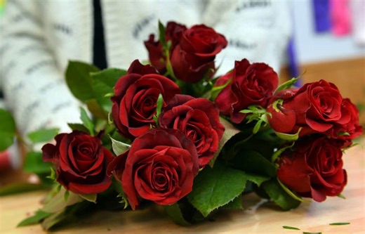 Saint-Valentin : oubliez les roses rouges, ces fleurs leur ressemblent et coûtent beaucoup moins cher