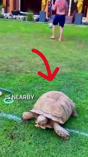 This Is NOT How You Treat Animals. 😤