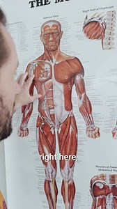 363K views · 1.8K reactions | Click here: weshape.com/facebook  and learn to move your body better! ✨ Shoulder pain or stiffness isn’t just annoying—it can impact your posture, energy, and even your sleep.  Stretching your shoulders regularly helps you move more freely, reduce tension, and feel better all around. Try this today and feel the difference!  | WeShape | Facebook