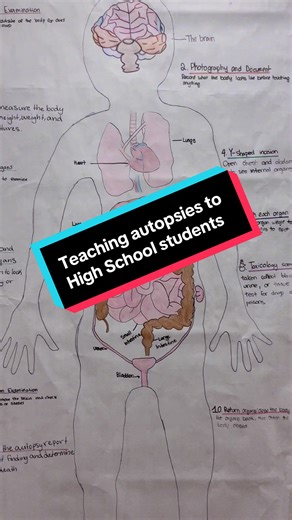 Teaching students how the human body tells its story—science, not scare tactics 🧠🫀🔬 #AnatomyClass #HealthScience #futuredoctors #ScienceEducation #TeacherTok