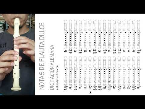 Todas las notas de la Flauta dulce