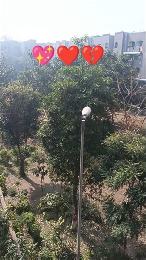 #exploremore #shortsviral 💥💐🌺💖❤💔