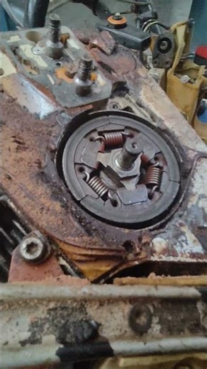 STIHL Clutch removing #automobile#chainsaw#stihl#colonelkkjϟ#ms250#ihavethisthingwithplants#machine