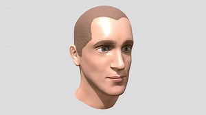 Male Game Res Bust - 3D model by Shrill Actions (@ShrillActions)