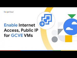 How to enable internet access and public IP for GCVE VMs