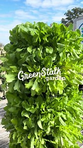 Buy one, get one 60% OFF GreenStalk Vertical Planters from now until February 21st! Mix and match colors and planters. Discount automatically applied at checkout - Shop now! 💚 | GreenStalk Garden